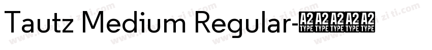 Tautz Medium Regular字体转换